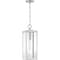 Quoizel Westover 1-Light Stainless Steel Outdoor Hanging Lantern WVR1907SS - alternate 1